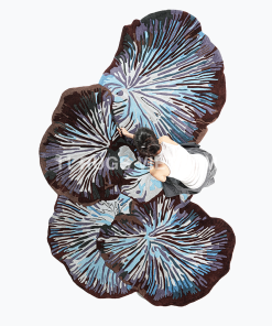 Alternative view of 'CORAL' RUG